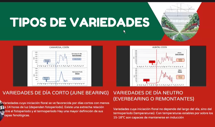  USO, MANEJO DE FERTILIZANTES Y CULTIVO HIDROPÓNICO EN FRESAS 